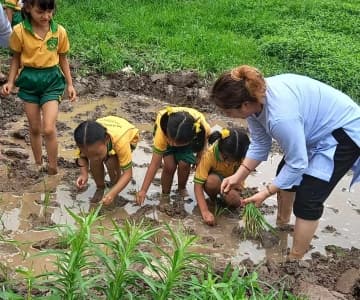 Pre-Primary